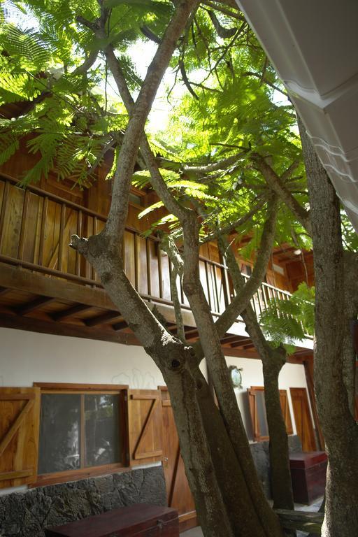 The Wooden House Hotel Puerto Villamil Kültér fotó